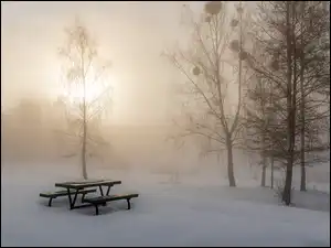 Drzewa, Ławka, Śnieg, Zima, Mgła