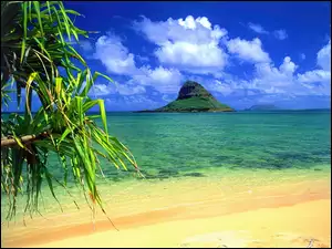 Morze, Hawaje, Wyspa