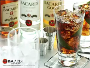 szklanka, Rum, Bacardi