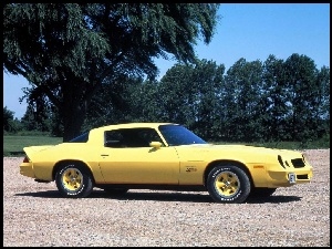 Z28, Żółty, Chevrolet Camaro