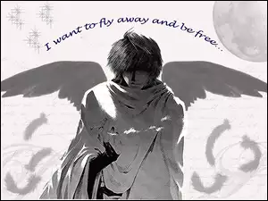fly away, Saiyuki, szare
