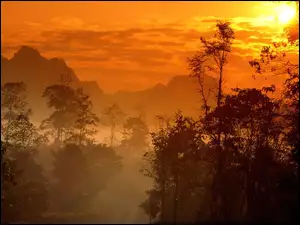 Tajlandia, Góra, Drzewo, Zachód Słońca