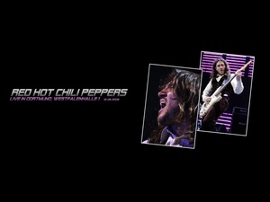 Red Hot Chili Peppers, gitarzysta