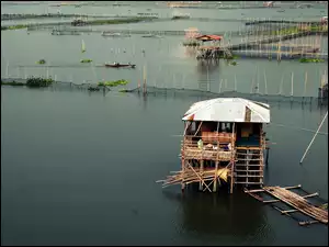 Laguna de Bay, Filipiny, Acrdona, Rizal