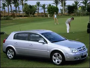 Trawa, Opel Signum, Golf