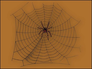 pajęczyna, Halloween, pająk