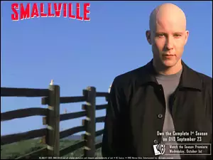 łysy, Tajemnice Smallville, Michael Rosenbaum, płot
