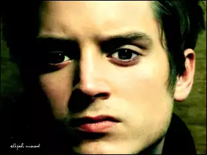 zielone oczy, Elijah Wood, twarz