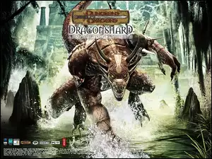 Dragonshard, rzeka, potwór, woda
