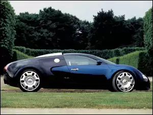 Bugatti Veyron, Prawy Profil