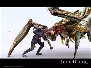 The Witcher, potwór, mężczyzna, wojownik, miecz