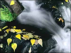 Wodospad Jesień