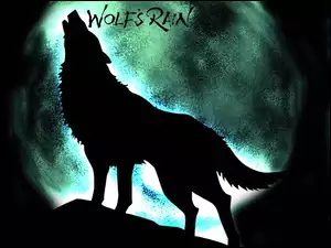 wilk, Wolfs Rain, wyje, noc