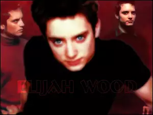 niebieskie oczy, Elijah Wood, czarna koszulka