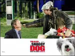 pies, The Shaggy Dog, bezdomny, Tim Allen, kij