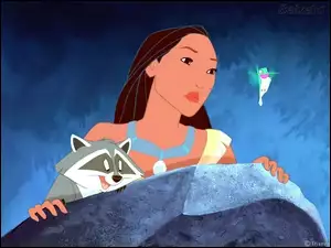 koliber, Pocahontas, szop