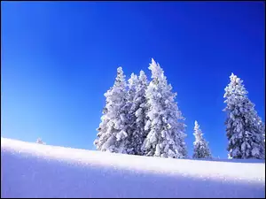Niebieskie, Śnieg, Niebo, Zima