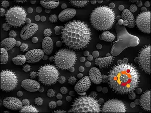 wirusy, ludzie, Ubuntu, symbol, bakterie, krąg