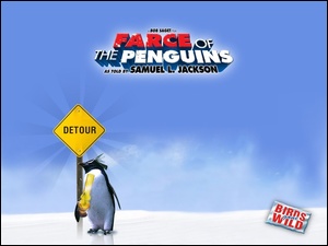 pingwin, drogowy, Farce Of The Penguins, znak