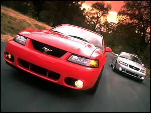 Srebrny, Fordy Mustangi, Czerwony