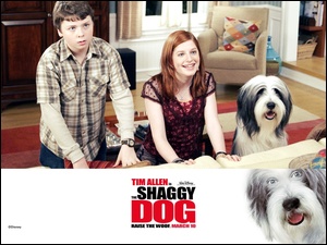 The Shaggy Dog, pokój, pies, dzieci