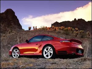 Porsche 911, Łąka, Turbo, Czerwone