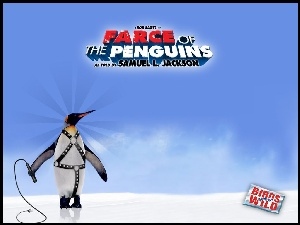 pejcz, Farce Of The Penguins, pingwin