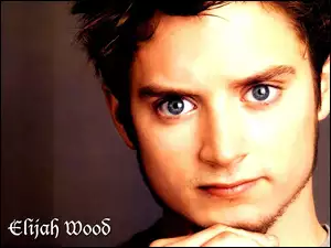 bródka, Elijah Wood, niebieskie oczy