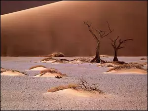 Namib, Afryka