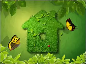 Zielony, Motyle, Domek, Trawa