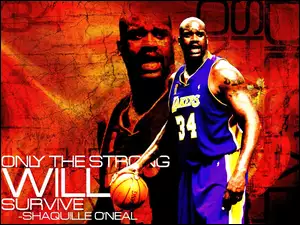 ShaQuille O