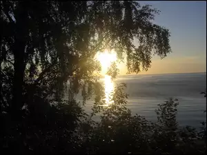 Wschód, Gdynia, Słońca, Morze
