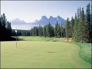 pole golfowe, Sportowe Golf, chorągiewka