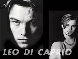 łańcuch, Leonardo DiCaprio, papieros