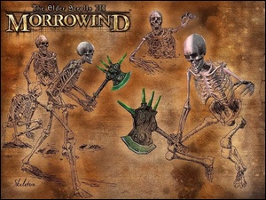 The Elder Scrolls III: Morrowind, Szkielety