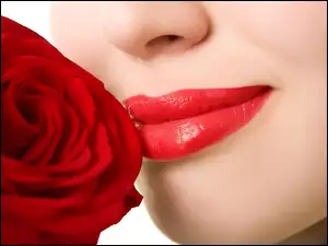 Usta, Czerwona, Kobieta, Róża, Czerwone