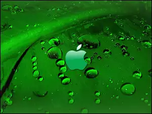 Apple, Zielony, Rosa, Liść, Logo