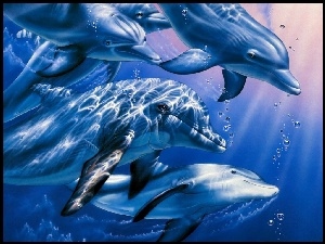 Delfiny, Rysunek