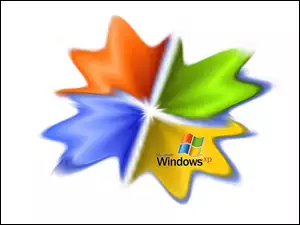 Plama, Windows XP, Kolorowa