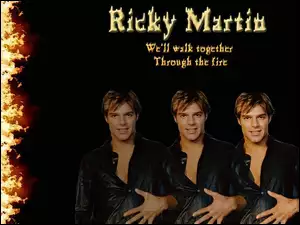 Wokalista, Ricky Martin