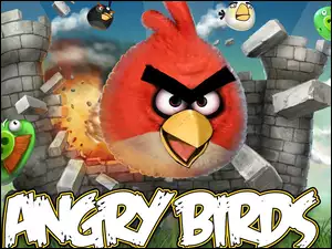 Gra, Angry Birds
