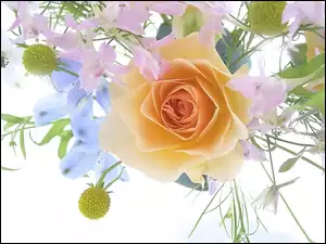 Bukiet, Róża, Kwiatów, Herbaciana