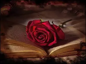 Książka, Róża, Otwarta