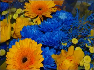 Bukiet, Kwiatów, Niebiesko, Żółtych