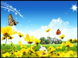 Biedronka, Wiosna, Kwiatki, Żółte, Motylki