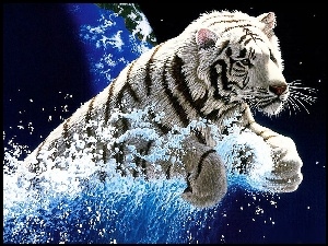 Biały, Woda, Tygrys, Grafika