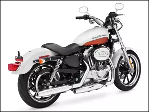 Napędowy, Harley Davidson Sportster 883, Pas