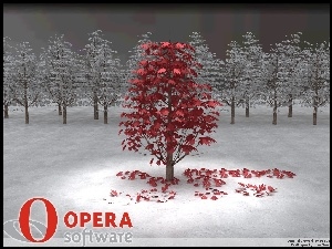 Opera, grafika, drzewa, las