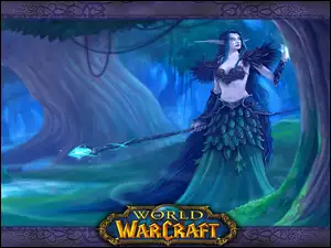World Of Warcraft, fantasy, kobieta, elf