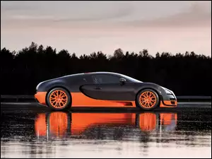 16.4 Super Sport, Bugatti Veyron, Wersja